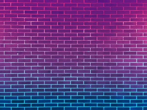 Pourquoi l'ombre est-elle importante dans un jardin ?