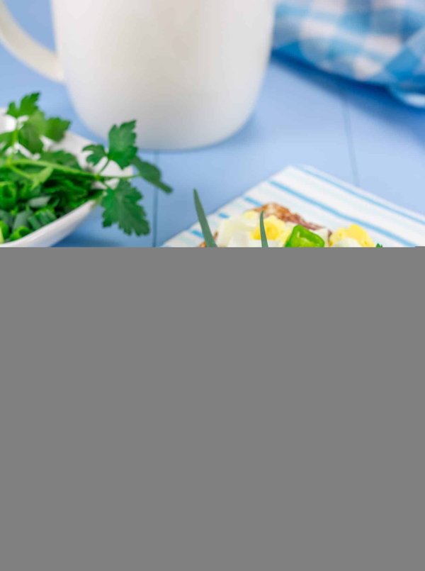 Les plantes vertes : offrez une touche de fraicheur à votre habitat !