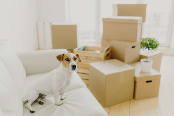 Quels sont les avantages des systèmes de chauffage par le sol pour une maison avec des enfants ?